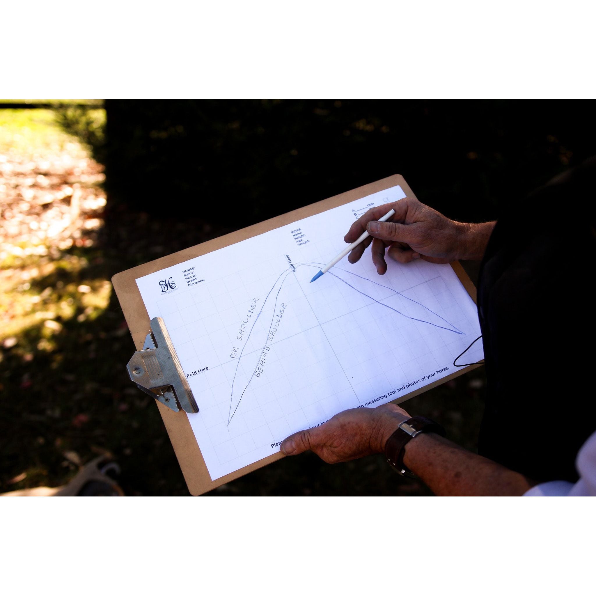 Virtual Second Hand Saddle Assessment