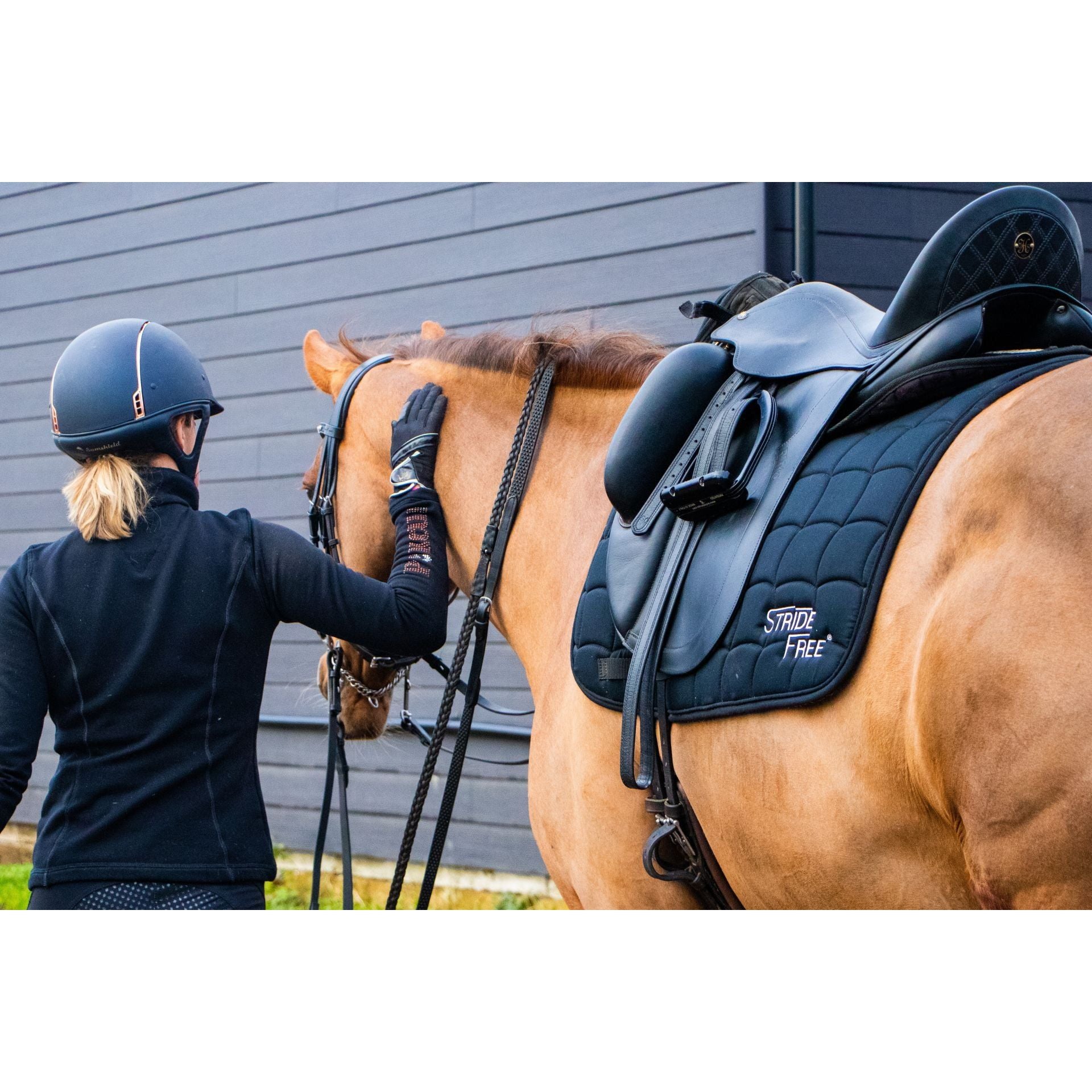 SADDLE FITTING FEE - TASMANIA ACTON PARK
