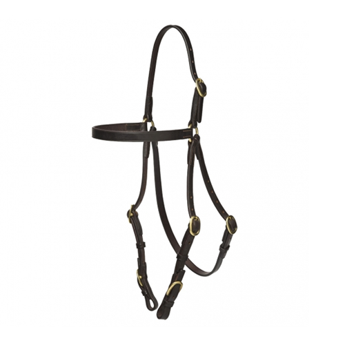 Race Bridle Buckle Over The Head