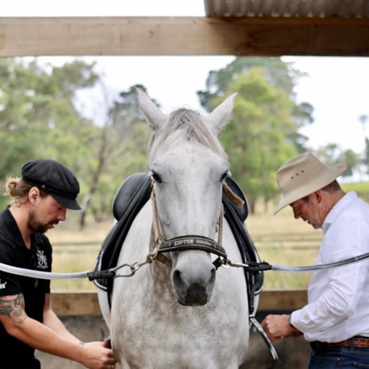 How do I know if my saddle fits?