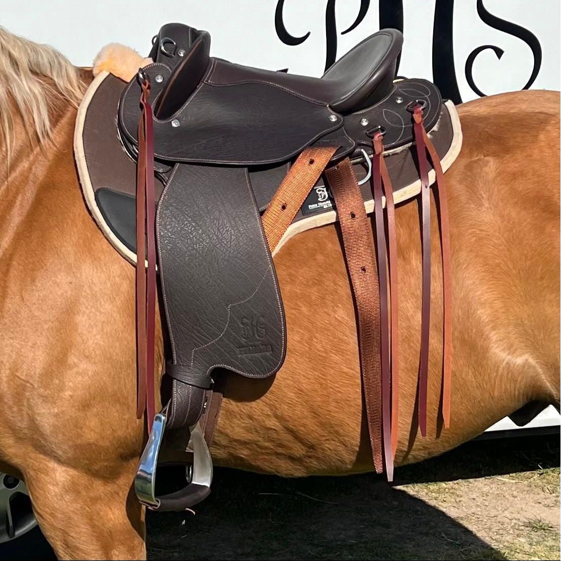 Pilabara StrideFree Trail Saddle on Horse