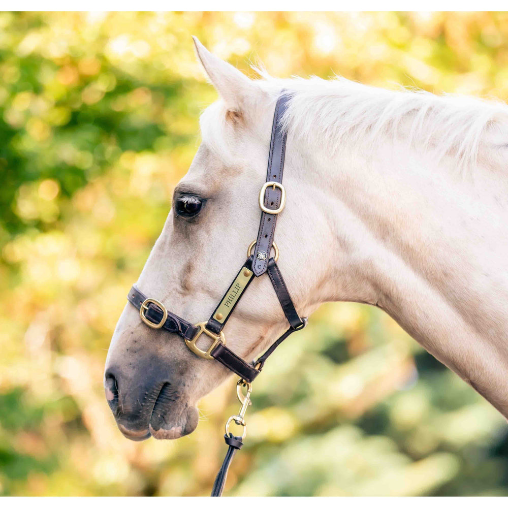 Headcollar Racks Plain Leather Headcollar | Horse Halters & Headcollars - StrideFree